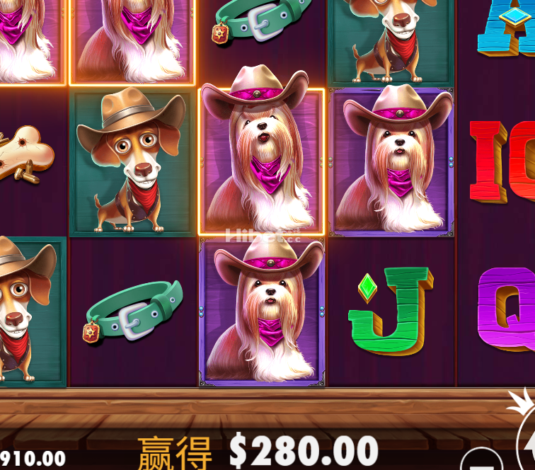 狗狗神气运气也不错