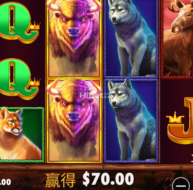 金狮小赚好几十运气不错